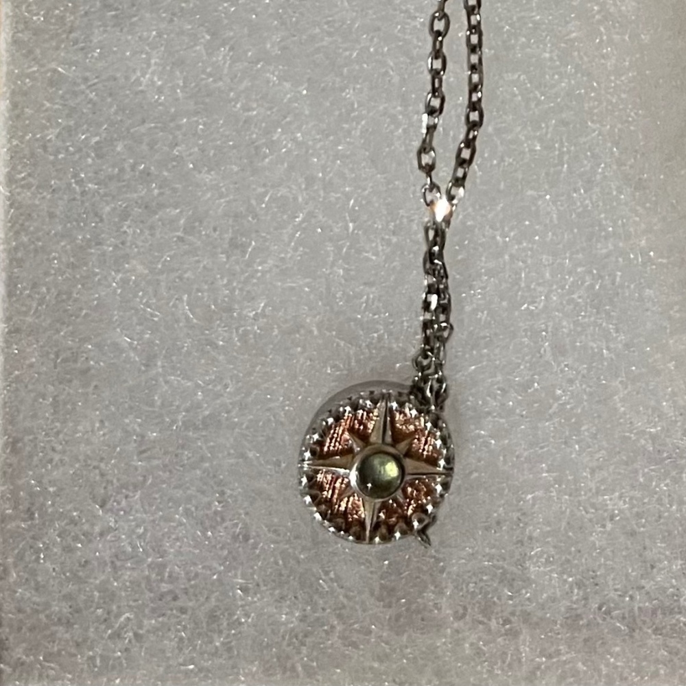 Compass Necklace - Picture 1 of 1